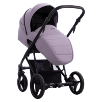 Детская коляска Bebetto Flavio 2 в 1 PRO (05)