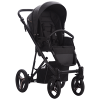 Детская коляска 2 в 1 Bebetto Flavio PRO 06, черный (503.12.21.P06)