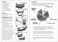 Гра настільна "Oops! Відрости бороду!"