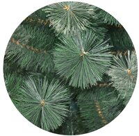 Сосна Yes! Fun h-1,80 м Хуртелиця