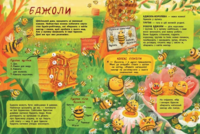 Віммельбух "Таємне життя комах", Ангеліна Журба (9786170971906)