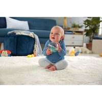 Веселі тваринки в кулі Fisher-Price в асортименті (GRT61)