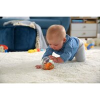 Веселі тваринки в кулі Fisher-Price в асортименті (GRT61)