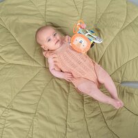 Розвиваюча іграшка Taf Toys Савана Веселі звірята (12755)