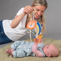 Розвиваюча іграшка Taf Toys Савана Веселі звірята (12755)