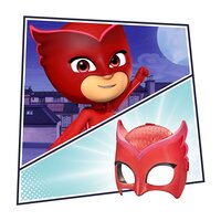 Игровой набор для ролевых игор PJ Masks Герои в масках Делюкс Алетт (F2147)