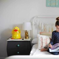 Зволожувач повітря Crane Duck (EE-6369) 