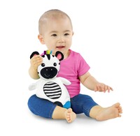 Розвиваюча іграшка Baby Einstein Zen the zebra (12490)