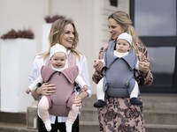 Кенгуру-переноска BeSafe Haven Premium Hazef, розовый (11009565-HazePLeaf)