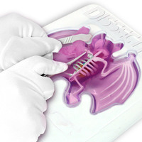 Набор для опытов Joker Slimy lab Анатомия животных Летучая мышь (38077)