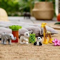 Конструктор LEGO Duplo Звірята (10904)