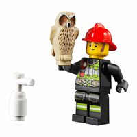 Конструктор LEGO City Лісова пожежа (60247)