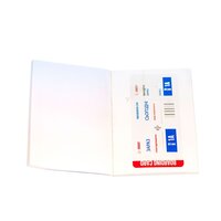 Обучающая игрушка с дополненной реальностью Shifu Глобус Orboot (Shifu014A)