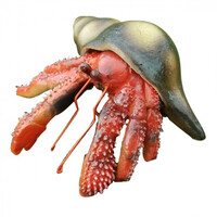 Іграшка Lanka Novelties Рак-самітник червоний з мушлею, 15 см  (21657) 