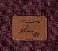 Універсальний візочок Hartan 2 в 1 YES GTX Selection Berry, вишневий