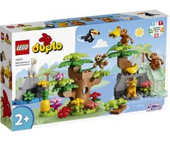Конструктор LEGO DUPLO Дикие животные Южной Америки (10973) 