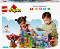  Конструктор LEGO DUPLO Дикі тварини Азії (10974)